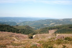 Dans le plateau du Sambrès Vue vers le Nord