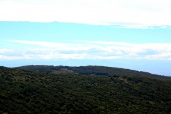 Vue vers les Pyrénéees (ici elles sont trop sombres pour les voir)