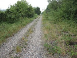 02.Breurey.Ligne SNCF désaffectée.Les Gds Gabions
