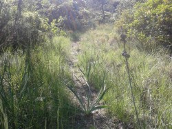 Descente vers Claret