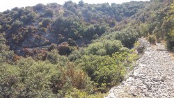 Descente du Bois des Costes/Coutach