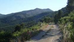 montée du télégraphe