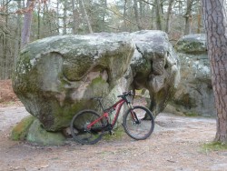 L'Eléphant d'Apremont