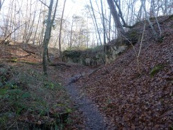 Front de taille au Mont Saint Germain