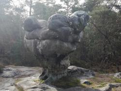 Le Sphinx des Druides