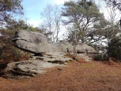 Le Saurien du mont Aigu