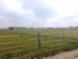 Plateau Briard vers Mandres les Roses