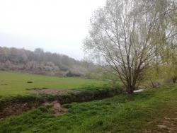 Les Étangs de Servon