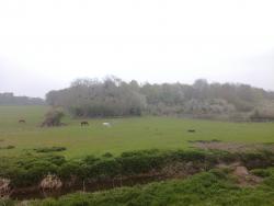 Les Étangs de Servon