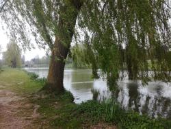 Les Étangs de Servon