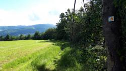 Balisage Espace VTT FFC Beaujolais Vert