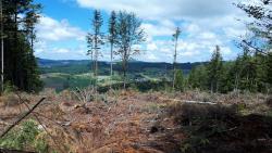 Débardage et vue des Monts du Beaujolais