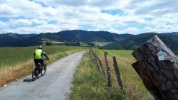 Balisage circuit Trail de la Vallée d'Azergues