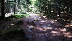 Chemin et blocs de granit avant la Grande Borne