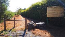Sentier d'accès au sentier botanique