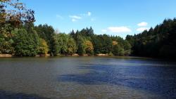 Étang de la Défriche