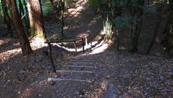 Escalier sur le parcours