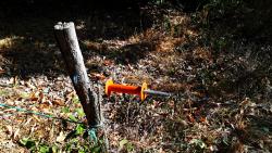 Isolateur en entrée de pâture