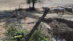 Isolateur ensortie de pâture