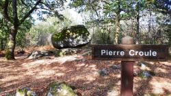 Detty, Pierre Croule