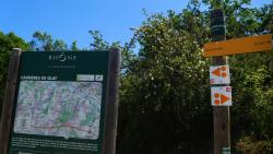 Site des Carrières d'Oncin à Glay