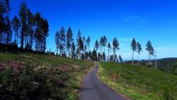 Montée au Puy d'Oscot