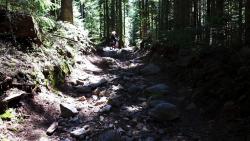 Longue montée technique entre le Petit Royet et les 2 Boules (poussages)