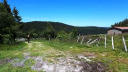 Les 2 Boules, Loges de la Lite