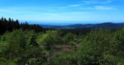 Descente vers le Col de la Loge, vue sur les volcans d'Auvergne
