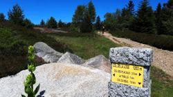 Montée après l'Auberge du Col de la Loge