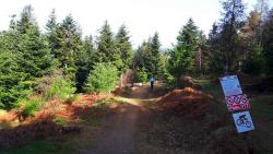 Tailly de Montchervet, BIKEPARK