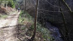 Montée le long du ruisseau de Fontbonne