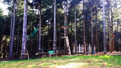 Parc aventure de Violay (accrobranche)