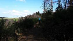 Bois de Valorges (sentier absent des cartes IGN et OSM)