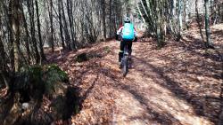 Bois de Valorges (sentier absent des cartes IGN et OSM)