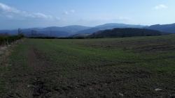 Vue sur la Montagne de Tarare