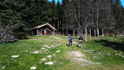 Chalet au plan d'eau de Saint Cyr de Valorges