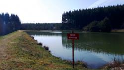 Plan d'eau de Saint Cyr de Valorges