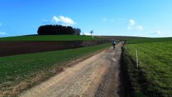 Retour à Violay sur le GR 7