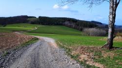 Retour à Violay sur le GR 7