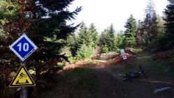 Tailly de Montchervet, BIKEPARK, parcours bleu