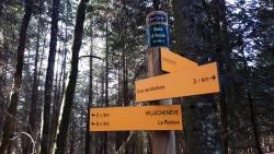 Totem du Bois d'Azole