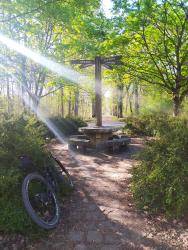 Forêt de Rougeau