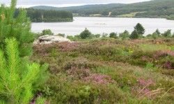 Lac du Saut de Vezoles
