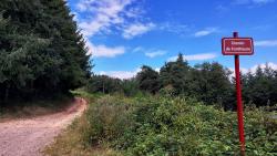 Chemin montant à Fonthieure