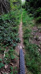 Sur le retour, long single dans le Bois des Clous