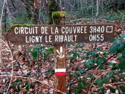 Circuits de randonnée solognots