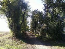 Chemin des gachetières