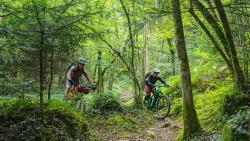 GTVTT_Forêt_de_Montségur_Acrofilm - Ariège Pyrénées Tourisme