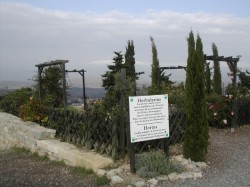 Jardins de l'abbaye (2)